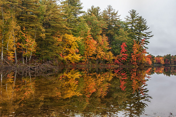Jaffrey, NH