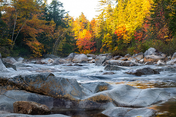 First Light Swift River in Fall. White Mountains, New Hampshire.