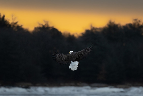 Morning on the Merrimack River.  Coastal Massachusetts. January 2022.