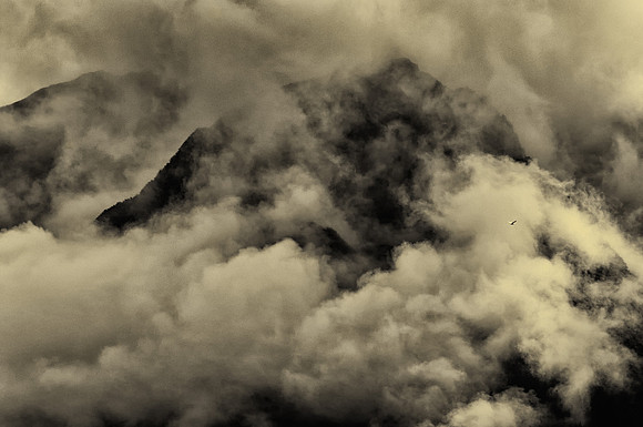 Fly by Fog Near Whittier