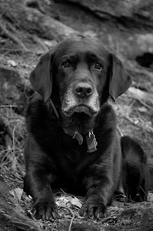 Graham, Senter Falls,