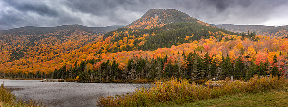 Stormy Fall Morning. Beaver Pond, White Mountains, New Hampshire.  Fall 2022.