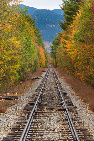 Path is Clear.  Fall, White Mountains, New Hampshire.  Fall 2022.