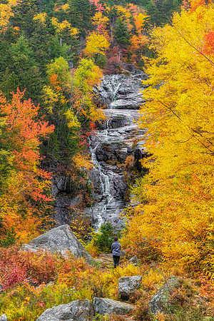 Silver Cascade, Crawford Notch State Park, New Hampshire.  Fall 2022.