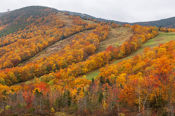 Cannon Mountain, Franconia Notch State Park, New Hampshire.  Fall 2022.