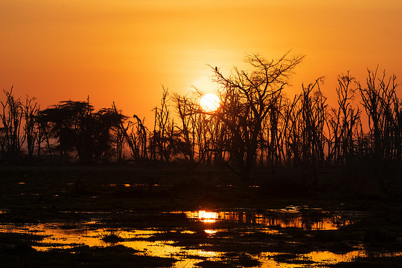 Sunrise. Amboseli National Park, Kenya.