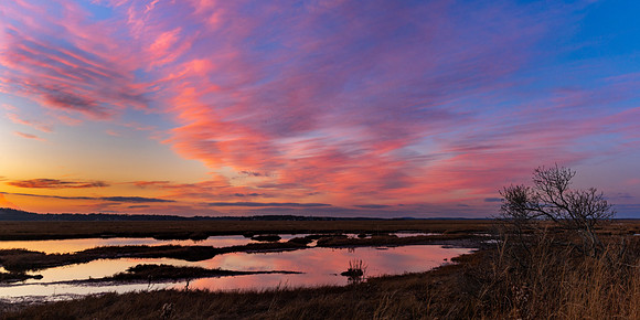 Sunset Pano Over the Pannes.  Parker River Wildlife Refuge, MA. January 2023