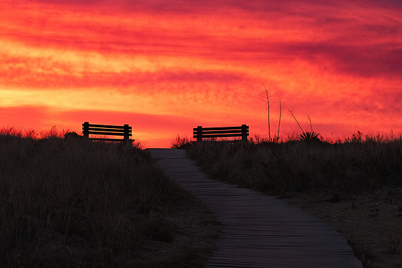 The Path is Clear. Sunrise. Seabrook, NH.  February 2023.