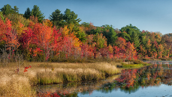 Perkins Pond, Fall 2015, Jaffrey, NH