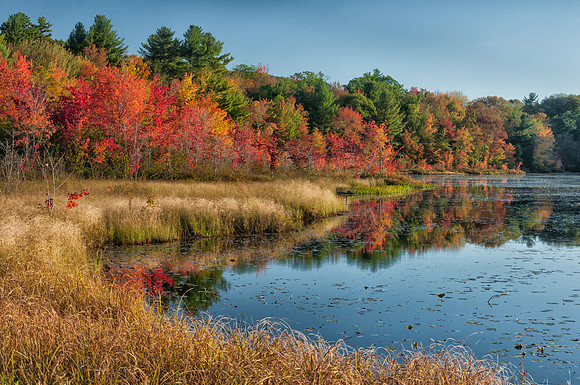 Perkins Pond, Fall 2015, Jaffrey, NH