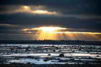 Sunrise Over the Hudson Bay. Churchill, Manitoba.  October 2026