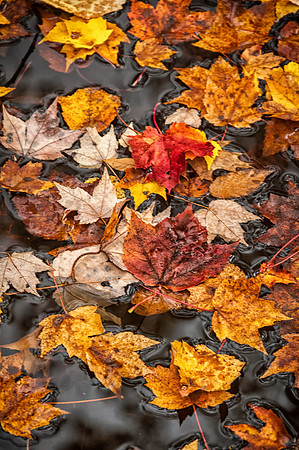 Fallen, Monson Center, Milford, NH