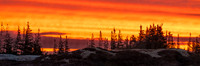 Welcome to Churchill, Manitoba.  October 2026
