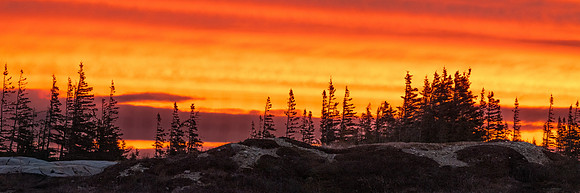 Welcome to Churchill, Manitoba.  October 2026