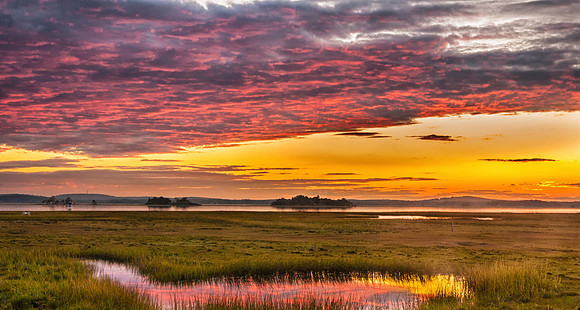 Reflection Pool, Plum Island, MA
