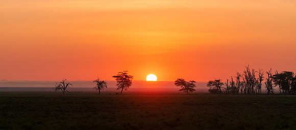 Welcome to Amboseli National Park, Kenya