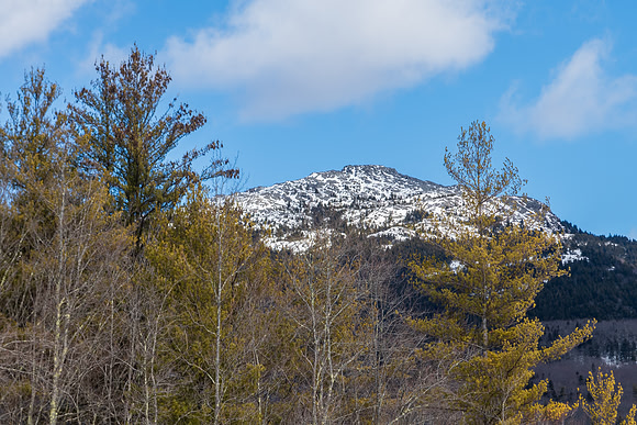 Mt. Monadnock Summit. Winter 2021.