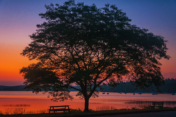 Summer Sunrise, Lake Massabesic, Manchester, NH