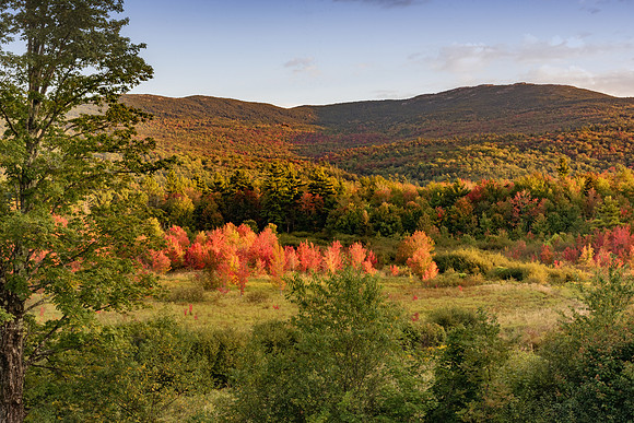 Earl;y Fall, Mt. Monadnock 2017, Dublin, NH