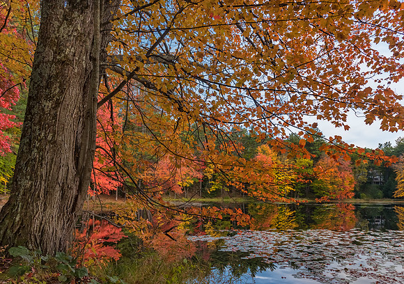 Under Cover, Fall 2017, Lincoln Pond, Amherst, NH