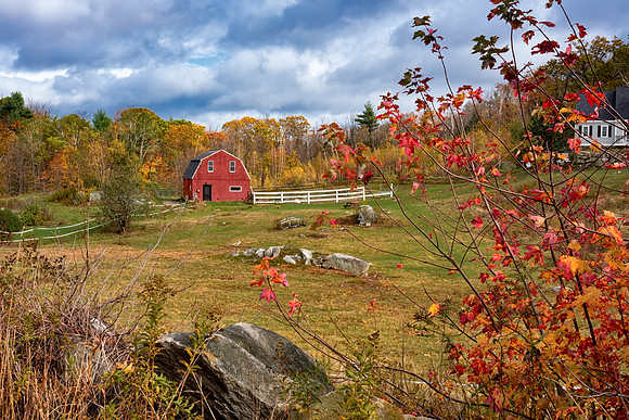 Temple Barn and Farm, Fall 2017