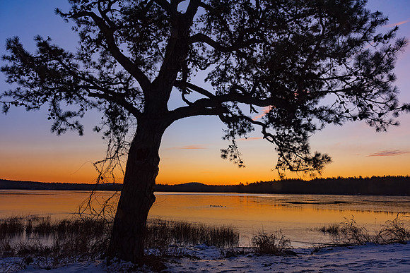 Winter Sunrise, Lake Massebesic, Auburn, NH