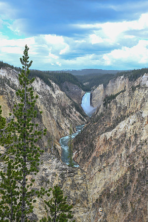 Grand Canyon of Yellowstone National Park, WY. June 2021.