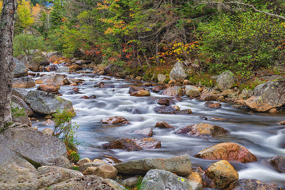Ellis River. Pinkham Notch, White Mountains, New Hampshire.