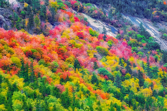 Watercolor Fall.  Crawford Notch, White Mountains, New Hampshire.