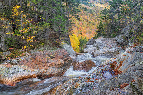 Going Down the Ellis River.  Pinkham Notch, White Mountains, New Hampshire.