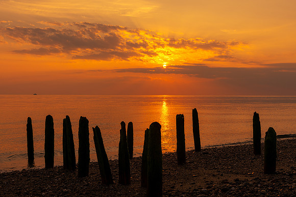 Herring Cove, Provincetown, MA. August 2021.