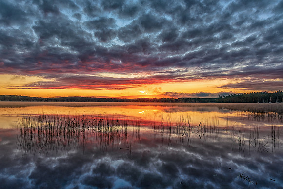 Peppered Sunrise.  Lake Massabesic, Auburn, NH 2018