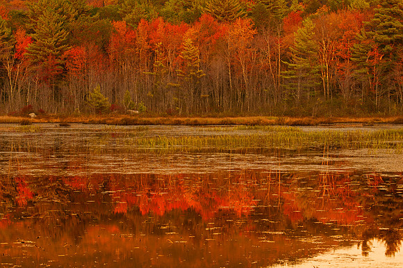 Reflections in Red Light