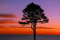 Sunrise NH Coast.  January 2024.