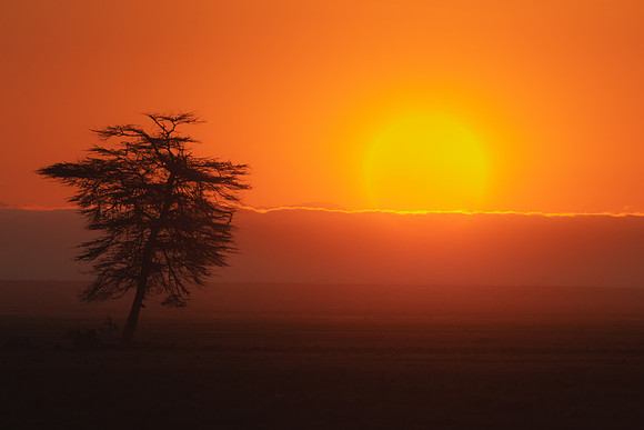 Sunrise.  Amboseli National Park, Kenya.