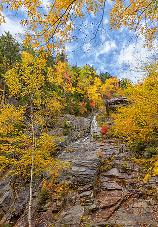 Silver Cascade in Golden Colors, Fall 2019