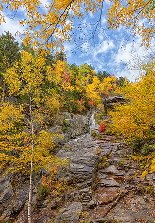 Silver Cascade in Golden Colors, Fall 2019