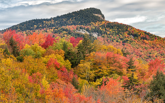 Fall Colors, Sugar Hill Lookout, White Mountain National Forest, 2019