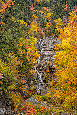 Silver Cascade Late Fall 2019