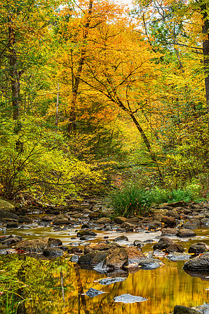 Fall Reflections, Ashby, Massachusetts