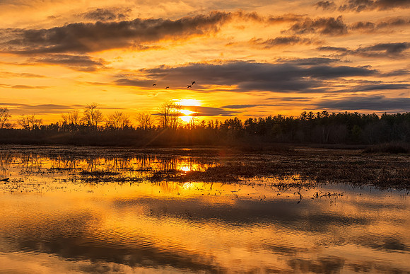 Sunset, Lake Massabesic, November 2019