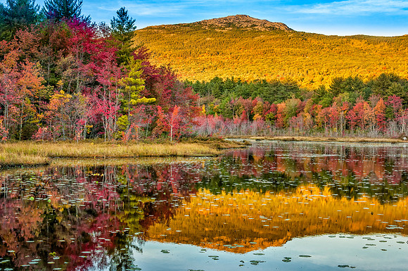 Mt Monadnock and Perkins Pond, Jaffrey, NH