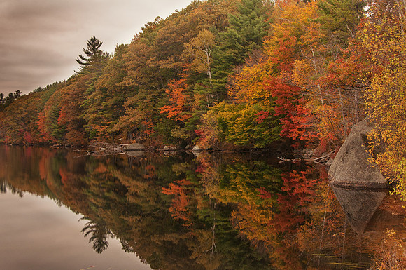 Black Pond, Hillsborough,NH
