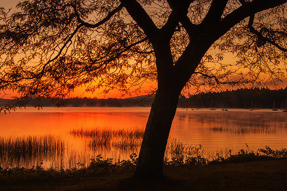Romantic Sway, Lake Massabesic, NH