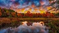Fall