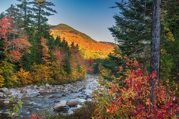 Fall Along the Swift River. White Mountains, NH.
