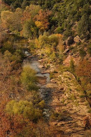 Late Fall, Oak Creek Canyon, Arizona