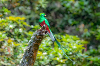 Costa Rica November Trips