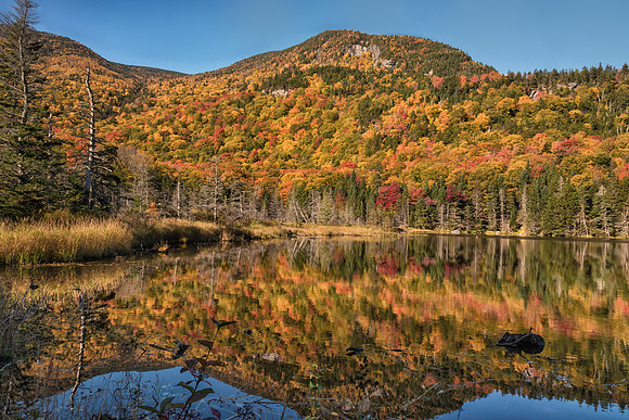 Beaver Pond, White Mountains, NH Fall 2016