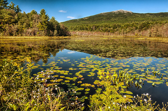Early Fall, Perkins Pond & Mt. Monadnock, Jaffrey, NH